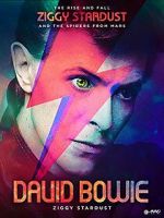 Watch David Bowie: Stardust Sflix