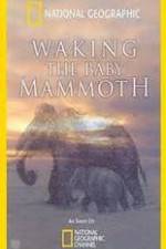 Watch Waking the Baby Mammoth Sflix