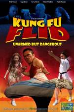 Watch Kung Fu Flid Sflix
