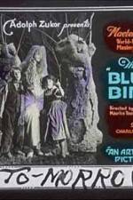 Watch The Blue Bird Sflix