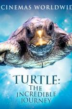 Watch Turtle The Incredible Journey Sflix