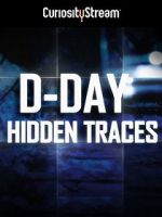Watch D-Day: Hidden Traces Sflix