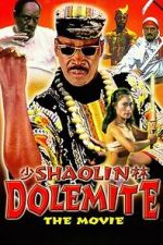 Watch Shaolin Dolemite Sflix