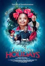 Watch Love After Holidays Sflix