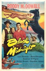 Watch Black Midnight Sflix
