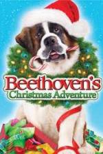 Watch Beethoven's Christmas Adventure Sflix