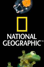 Watch National Geographic Wild Dam Beavers Sflix