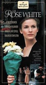 Watch Miss Rose White Sflix