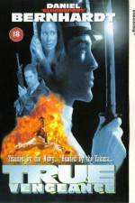Watch True Vengeance Sflix