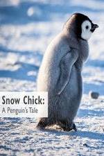 Watch Snow Chick: A Penguin's Tale Sflix