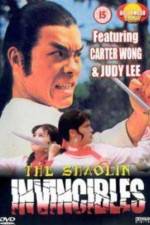 Watch Yong zheng ming zhang Shao Lin men Sflix