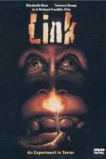 Watch Link Sflix