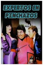 Watch Expertos en pinchazos Sflix