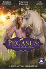Watch Pony with a Broken Wing Sflix