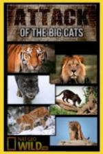 Watch National Geographic Attack Of The Big Cats Sflix
