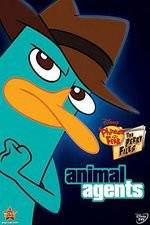 Watch Phineas And Ferb Animal Agents Sflix