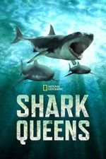Watch Shark Queens Sflix