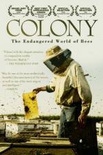 Watch Colony Sflix