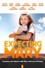 Watch Expecting Mary Sflix