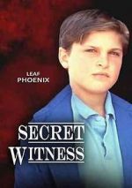 Watch Secret Witness Sflix