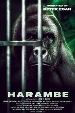 Watch Harambe Sflix