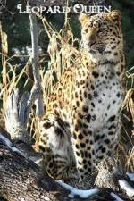 Watch Leopard Queen Sflix