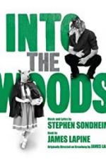 Watch Into the Woods Sflix