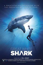 Watch Great White Shark Sflix