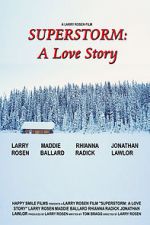 Watch Superstorm: A Love Story Sflix