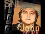 Watch Saturday Night Live: The Best of John Belushi Sflix