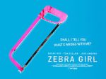 Watch Zebra Girl Sflix