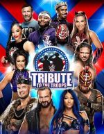 Watch WWE Tribute to the Troops Sflix