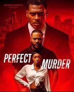 Watch Perfect Murder Sflix