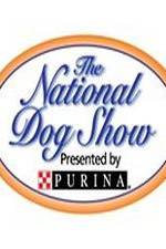 Watch National Dog Show Sflix