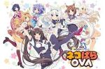 Watch Nekopara Sflix