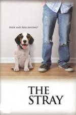 Watch The Stray Sflix