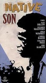 Watch Native Son Sflix