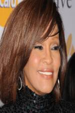 Watch Biography Whitney Houston Sflix