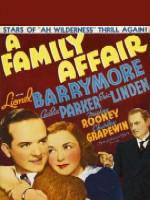 Watch A Family Affair Sflix