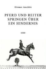 Watch Pferd und Reiter Springen ber ein Hindernis Sflix