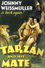 Watch Tarzan and His Mate Sflix