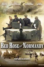 Watch Red Rose of Normandy Sflix