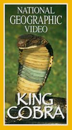 Watch King Cobra Sflix