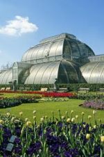 Watch Cruickshank on Kew: The Garden That Changed the World Sflix