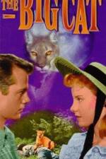 Watch The Big Cat Sflix
