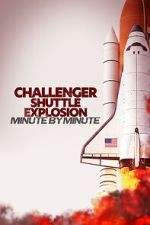 Watch Challenger Shuttle Disaster: Minute by Minute Sflix