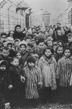Watch AUSCHWITZ: LIBERATION AND REVENGE Sflix
