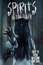 Watch Spirits in the Dark Sflix