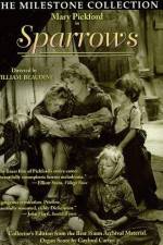Watch Sparrows Sflix