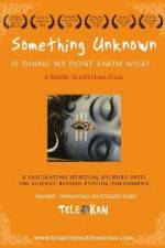 Watch Something Unknown Is Doing We Don't Know What Sflix